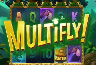 MultiFly